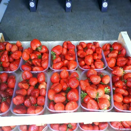 Tourist Farm Gricnik Resnik