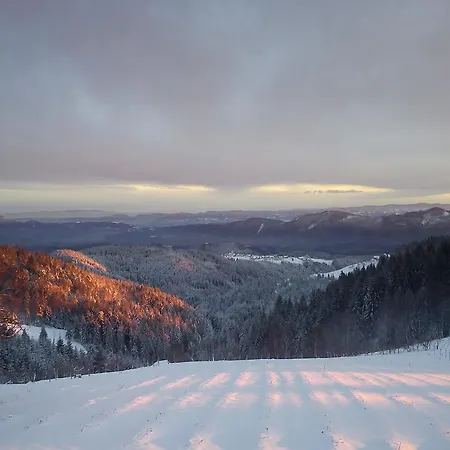 Tourist Farm Gricnik בית חווה *