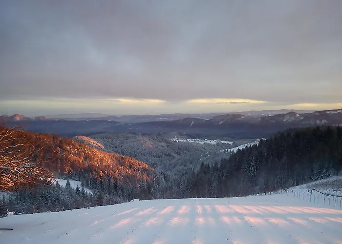 Tourist Farm Gricnik Smještaj na farmi *